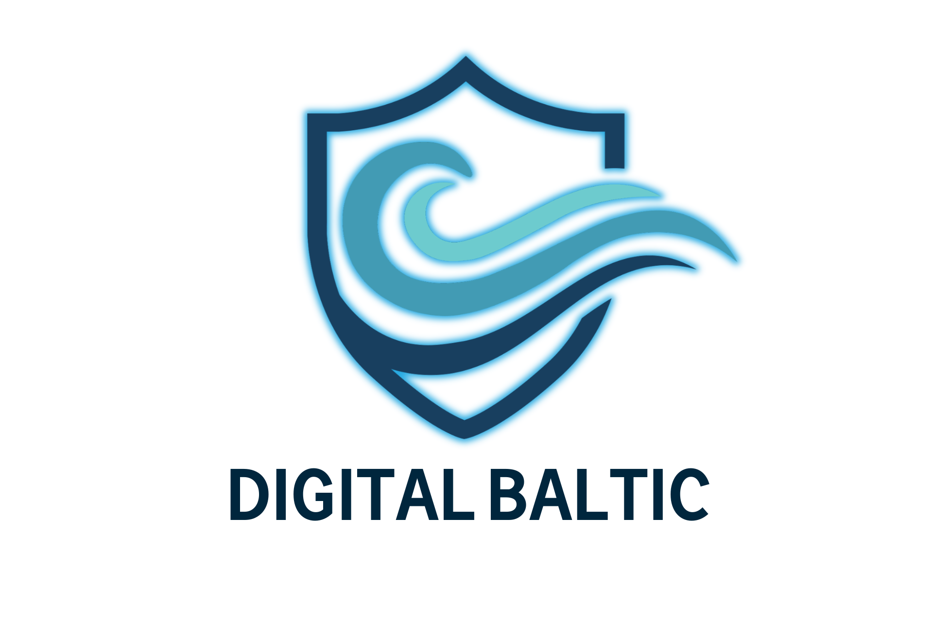 Digital Baltic